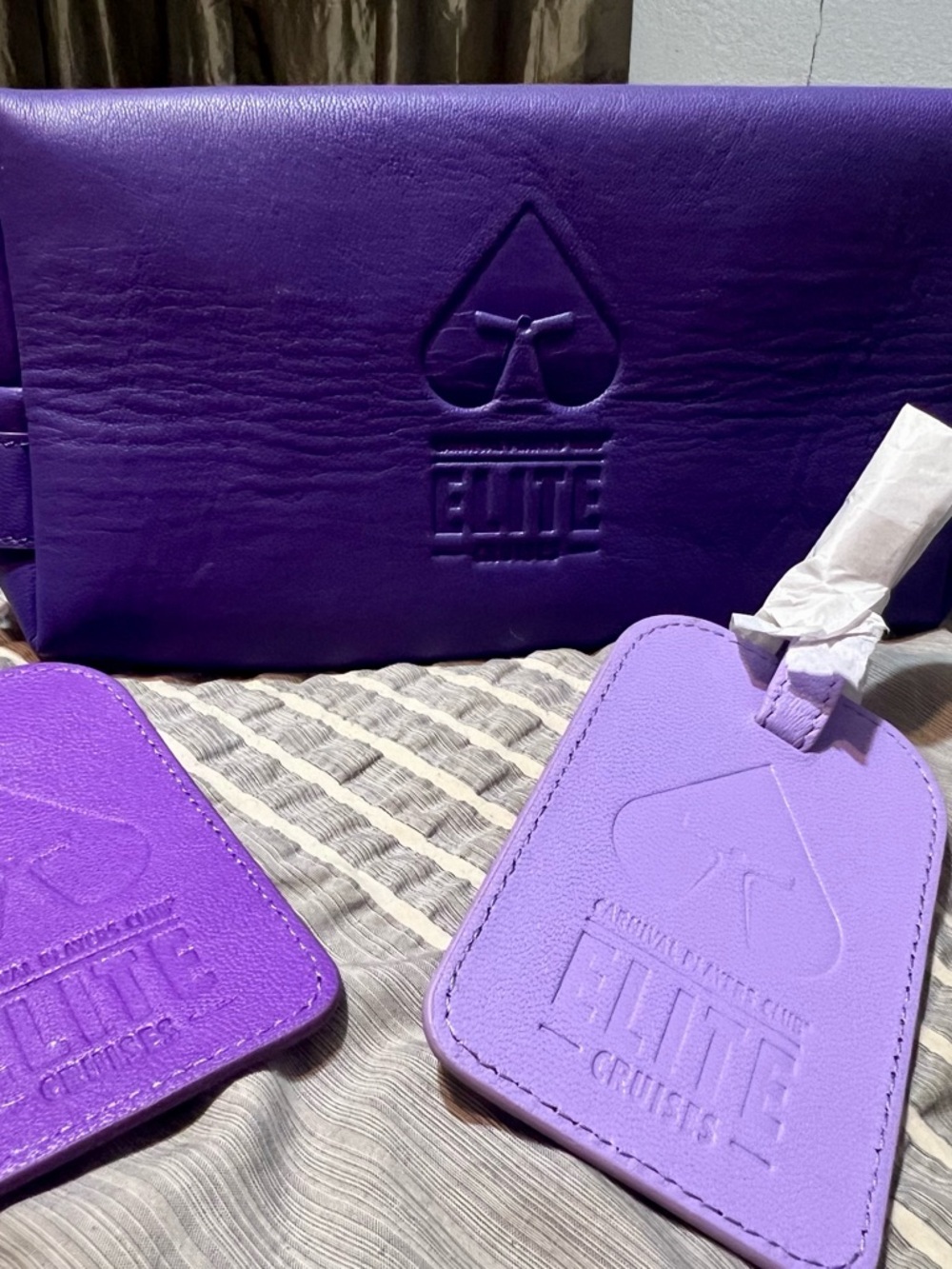 Elite Cruises Purple Luggage Set - 3 Piece